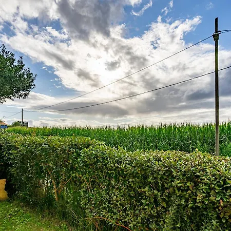 Landsted Apto Naranja - Casa El Gaitero Susacasa